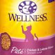 Best Wet Grain-Free Cat Food: Healthy & Delicious! | World’s Most Delicious Foods: Must-Try Dishes from Every Country