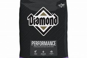 Fueling Champions: Diamond Performance Dog Food for Peak Power World’s Most Delicious Foods: Must-Try Dishes from Every Country Fueling Champions: Diamond Performance Dog Food for Peak Power | World’s Most Delicious Foods: Must-Try Dishes from Every Country