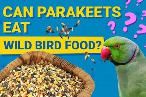 Parakeets & Wild Bird Food: Safe to Eat? Expert Guide World’s Most Delicious Foods: Must-Try Dishes from Every Country Parakeets & Wild Bird Food: Safe to Eat? Expert Guide | World’s Most Delicious Foods: Must-Try Dishes from Every Country