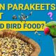 Parakeets & Wild Bird Food: Safe to Eat? Expert Guide | World’s Most Delicious Foods: Must-Try Dishes from Every Country