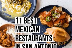 Best Mexican Food Catering San Antonio, TX: Your Guide World’s Most Delicious Foods: Must-Try Dishes from Every Country Best Mexican Food Catering San Antonio, TX: Your Guide | World’s Most Delicious Foods: Must-Try Dishes from Every Country