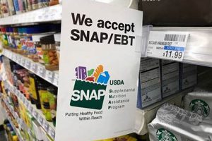 Avoiding a Food Stamp Pause: Benefits & Solutions World’s Most Delicious Foods: Must-Try Dishes from Every Country Avoiding a Food Stamp Pause: Benefits & Solutions | World’s Most Delicious Foods: Must-Try Dishes from Every Country