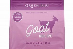 Best Green Juju Dog Food: Healthier Pups Start Here! World’s Most Delicious Foods: Must-Try Dishes from Every Country Best Green Juju Dog Food: Healthier Pups Start Here! | World’s Most Delicious Foods: Must-Try Dishes from Every Country