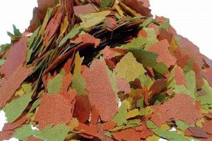 Best Fish Flake Food: Nutritious Aquarium Diets World’s Most Delicious Foods: Must-Try Dishes from Every Country Best Fish Flake Food: Nutritious Aquarium Diets | World’s Most Delicious Foods: Must-Try Dishes from Every Country