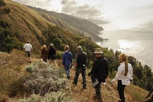 Experience Big Sur Food & Wine Festival: A Coastal Delight World’s Most Delicious Foods: Must-Try Dishes from Every Country Experience Big Sur Food & Wine Festival: A Coastal Delight | World’s Most Delicious Foods: Must-Try Dishes from Every Country