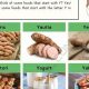 Guide to Food That Starts With Y: From Yam to Yogurt | World’s Most Delicious Foods: Must-Try Dishes from Every Country