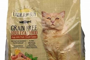 Best Sunday Cat Food: Reviews & Beyond! World’s Most Delicious Foods: Must-Try Dishes from Every Country Best Sunday Cat Food: Reviews & Beyond! | World’s Most Delicious Foods: Must-Try Dishes from Every Country