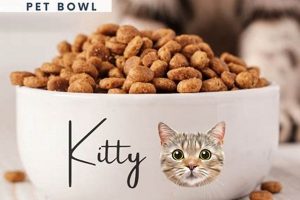 Is Personalized Cat Food Right for Your Cat? A Guide World’s Most Delicious Foods: Must-Try Dishes from Every Country Is Personalized Cat Food Right for Your Cat? A Guide | World’s Most Delicious Foods: Must-Try Dishes from Every Country