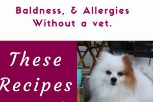 Top-Rated: Best Dog Food for Epilepsy Dogs +Diet Tips World’s Most Delicious Foods: Must-Try Dishes from Every Country Top-Rated: Best Dog Food for Epilepsy Dogs +Diet Tips | World’s Most Delicious Foods: Must-Try Dishes from Every Country