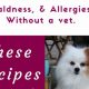 Top-Rated: Best Dog Food for Epilepsy Dogs +Diet Tips | World’s Most Delicious Foods: Must-Try Dishes from Every Country
