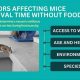 Mouse Survival: How Long Can a Mouse Go Without Food Guide? | World’s Most Delicious Foods: Must-Try Dishes from Every Country
