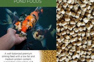 Best Sinking Fish Food Pellets: A Complete Guide for Fish World’s Most Delicious Foods: Must-Try Dishes from Every Country Best Sinking Fish Food Pellets: A Complete Guide for Fish | World’s Most Delicious Foods: Must-Try Dishes from Every Country