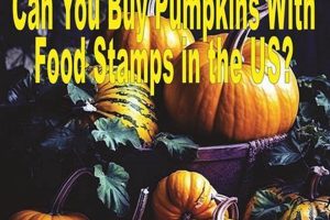 SNAP Guide: Can You Buy Pumpkins With Food Stamps? World’s Most Delicious Foods: Must-Try Dishes from Every Country SNAP Guide: Can You Buy Pumpkins With Food Stamps? | World’s Most Delicious Foods: Must-Try Dishes from Every Country