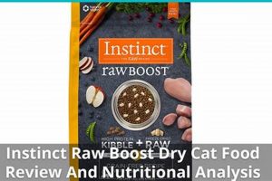 Is Instinct Cat Food Good? A Vet's Review + [Pros & Cons] | World’s Most Delicious Foods: Must-Try Dishes from Every Country