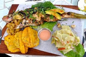 Guide: Kosher Food in Punta Cana, Dominican Republic [2024] | World’s Most Delicious Foods: Must-Try Dishes from Every Country