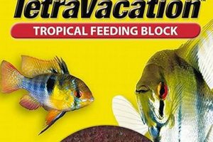 Best Slow Release Fish Food: A Nutrient Guide! World’s Most Delicious Foods: Must-Try Dishes from Every Country Best Slow Release Fish Food: A Nutrient Guide! | World’s Most Delicious Foods: Must-Try Dishes from Every Country