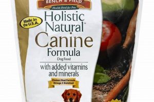Best Bench and Field Dog Food: Diet & Health Guide! World’s Most Delicious Foods: Must-Try Dishes from Every Country Best Bench and Field Dog Food: Diet & Health Guide! | World’s Most Delicious Foods: Must-Try Dishes from Every Country