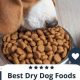Top Picks: Best Dry Dog Food for Seniors Reviewed 2024 | World’s Most Delicious Foods: Must-Try Dishes from Every Country