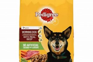 Is Your Dog Food Working? Signs It's Not! World’s Most Delicious Foods: Must-Try Dishes from Every Country Is Your Dog Food Working? Signs It's Not! | World’s Most Delicious Foods: Must-Try Dishes from Every Country