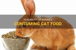 Is It Safe? Can Bunnies Eat Cat Food? & Dangers World’s Most Delicious Foods: Must-Try Dishes from Every Country Is It Safe? Can Bunnies Eat Cat Food? & Dangers | World’s Most Delicious Foods: Must-Try Dishes from Every Country