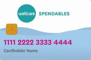 Wellcare Food Card: Know What You CAN Buy (Guide) World’s Most Delicious Foods: Must-Try Dishes from Every Country Wellcare Food Card: Know What You CAN Buy (Guide) | World’s Most Delicious Foods: Must-Try Dishes from Every Country