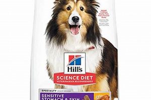 Top-Rated Dry Dog Food for Lipomas: Diet & Care World’s Most Delicious Foods: Must-Try Dishes from Every Country Top-Rated Dry Dog Food for Lipomas: Diet & Care | World’s Most Delicious Foods: Must-Try Dishes from Every Country