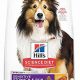 Top-Rated Dry Dog Food for Lipomas: Diet & Care | World’s Most Delicious Foods: Must-Try Dishes from Every Country