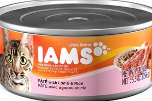 Best Lamb Cat Food Wet Options + Benefits World’s Most Delicious Foods: Must-Try Dishes from Every Country Best Lamb Cat Food Wet Options + Benefits | World’s Most Delicious Foods: Must-Try Dishes from Every Country