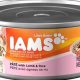 Best Lamb Cat Food Wet Options + Benefits | World’s Most Delicious Foods: Must-Try Dishes from Every Country