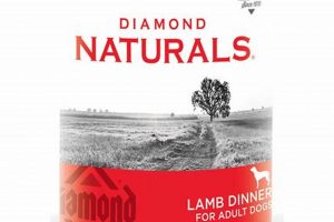 Best Diamond Naturals Canned Dog Food: Benefits & More! World’s Most Delicious Foods: Must-Try Dishes from Every Country Best Diamond Naturals Canned Dog Food: Benefits & More! | World’s Most Delicious Foods: Must-Try Dishes from Every Country