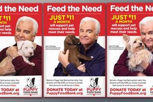 Best Puppy Food Bank Reviews: Find Safe Options Now World’s Most Delicious Foods: Must-Try Dishes from Every Country Best Puppy Food Bank Reviews: Find Safe Options Now | World’s Most Delicious Foods: Must-Try Dishes from Every Country