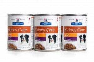 Best Non Prescription Urinary Dog Food: Diet & Care World’s Most Delicious Foods: Must-Try Dishes from Every Country Best Non Prescription Urinary Dog Food: Diet & Care | World’s Most Delicious Foods: Must-Try Dishes from Every Country