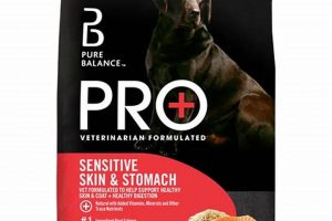 Best Dog Food for Dogs with Sensitive Skin: Healthy & Happy! World’s Most Delicious Foods: Must-Try Dishes from Every Country Best Dog Food for Dogs with Sensitive Skin: Healthy & Happy! | World’s Most Delicious Foods: Must-Try Dishes from Every Country