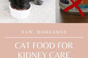 Avoid: Worst Cat Food for Kidney Disease + Best Choices World’s Most Delicious Foods: Must-Try Dishes from Every Country Avoid: Worst Cat Food for Kidney Disease + Best Choices | World’s Most Delicious Foods: Must-Try Dishes from Every Country