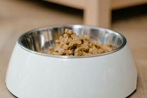 Is Just Food for Dogs Balanced Remedy the Best Option for Your Dog? World’s Most Delicious Foods: Must-Try Dishes from Every Country Is Just Food for Dogs Balanced Remedy the Best Option for Your Dog? | World’s Most Delicious Foods: Must-Try Dishes from Every Country