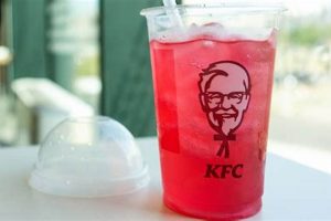 Top-Rated: Best Fast Food Lemonade This Year! World’s Most Delicious Foods: Must-Try Dishes from Every Country Top-Rated: Best Fast Food Lemonade This Year! | World’s Most Delicious Foods: Must-Try Dishes from Every Country