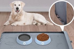 Best Dog Mat Food Mats: Keep Mealtime Clean! World’s Most Delicious Foods: Must-Try Dishes from Every Country Best Dog Mat Food Mats: Keep Mealtime Clean! | World’s Most Delicious Foods: Must-Try Dishes from Every Country