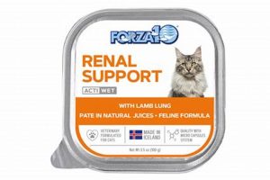 Best Forza10 Cat Food: Health & Sensitive Stomachs World’s Most Delicious Foods: Must-Try Dishes from Every Country Best Forza10 Cat Food: Health & Sensitive Stomachs | World’s Most Delicious Foods: Must-Try Dishes from Every Country