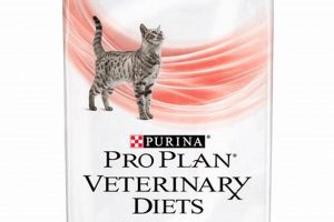Best DM Cat Food: Control Diabetes Naturally! World’s Most Delicious Foods: Must-Try Dishes from Every Country Best DM Cat Food: Control Diabetes Naturally! | World’s Most Delicious Foods: Must-Try Dishes from Every Country