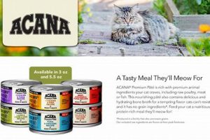 Best Acana Wet Cat Food for Healthier Cats! World’s Most Delicious Foods: Must-Try Dishes from Every Country Best Acana Wet Cat Food for Healthier Cats! | World’s Most Delicious Foods: Must-Try Dishes from Every Country