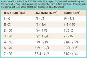 Best Dog Food for Weight Loss: Help Your Pup Slim Down! World’s Most Delicious Foods: Must-Try Dishes from Every Country Best Dog Food for Weight Loss: Help Your Pup Slim Down! | World’s Most Delicious Foods: Must-Try Dishes from Every Country