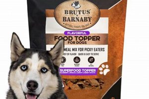 Best Dog Food Flavoring: Enhance Taste Your Dog Will Love! World’s Most Delicious Foods: Must-Try Dishes from Every Country Best Dog Food Flavoring: Enhance Taste Your Dog Will Love! | World’s Most Delicious Foods: Must-Try Dishes from Every Country