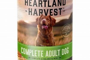 Dog Food: Heartland Harvest Reviews + Is It Right? World’s Most Delicious Foods: Must-Try Dishes from Every Country Dog Food: Heartland Harvest Reviews + Is It Right? | World’s Most Delicious Foods: Must-Try Dishes from Every Country