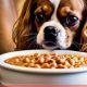 Guide: Best Food for Cavalier King Charles Spaniel Puppy Diet | World’s Most Delicious Foods: Must-Try Dishes from Every Country