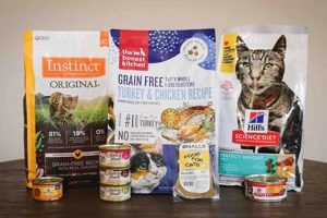 The Best Dry Food for British Shorthair Kitten: Complete Guide World’s Most Delicious Foods: Must-Try Dishes from Every Country The Best Dry Food for British Shorthair Kitten: Complete Guide | World’s Most Delicious Foods: Must-Try Dishes from Every Country