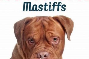 Top-Rated Best Dog Food for English Mastiffs: Guide & Reviews World’s Most Delicious Foods: Must-Try Dishes from Every Country Top-Rated Best Dog Food for English Mastiffs: Guide & Reviews | World’s Most Delicious Foods: Must-Try Dishes from Every Country