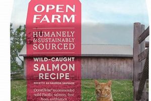 Best Farm Cat Food: Fuel Your Feline's Farm Life World’s Most Delicious Foods: Must-Try Dishes from Every Country Best Farm Cat Food: Fuel Your Feline's Farm Life | World’s Most Delicious Foods: Must-Try Dishes from Every Country