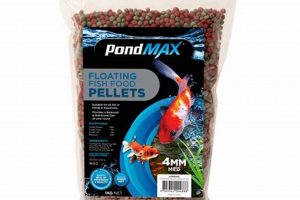Best Fish Food Pellets: Nutrition & Buying Guide World’s Most Delicious Foods: Must-Try Dishes from Every Country Best Fish Food Pellets: Nutrition & Buying Guide | World’s Most Delicious Foods: Must-Try Dishes from Every Country
