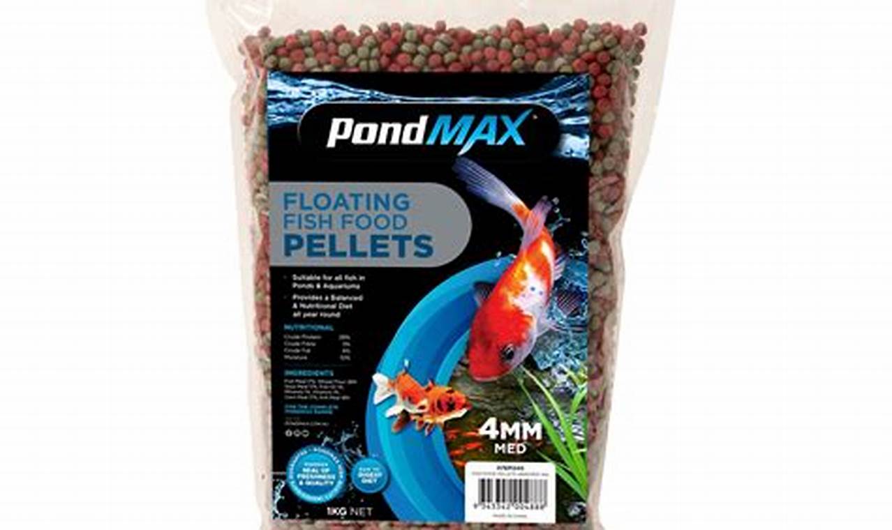 Best Fish Food Pellets: Nutrition & Buying Guide World’s Most Delicious Foods: Must-Try Dishes from Every Country Best Fish Food Pellets: Nutrition & Buying Guide | World’s Most Delicious Foods: Must-Try Dishes from Every Country