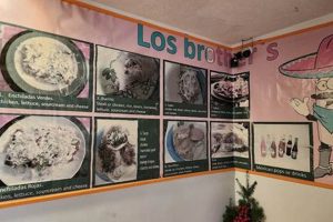 Explore Los Brothers Mexican Food Menu | Deals & More! World’s Most Delicious Foods: Must-Try Dishes from Every Country Explore Los Brothers Mexican Food Menu | Deals & More! | World’s Most Delicious Foods: Must-Try Dishes from Every Country